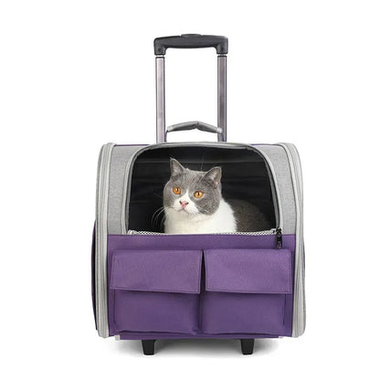 Sac de transport pliable pour chat