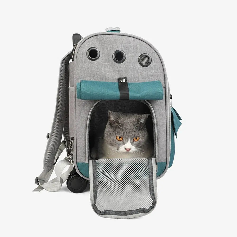 Sac de transport pliable pour chat