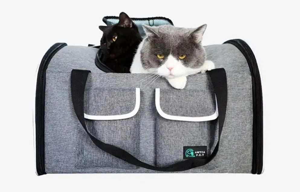 Sac de voyage portable à bandoulière pour chat