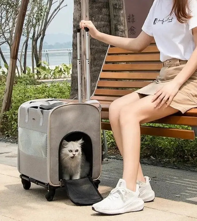 Sac portable télescopique à roulettes pour chat