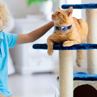 Collier avec clochette de sécurité GPS pour chat