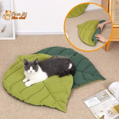 TAPIS, LIT, COUSSIN DOUX EN FORME DE FEUILLE POUR CHAT – FEUILL’À’CHAT™