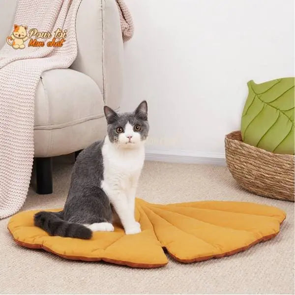 TAPIS, LIT, COUSSIN DOUX EN FORME DE FEUILLE POUR CHAT – FEUILL’À’CHAT™