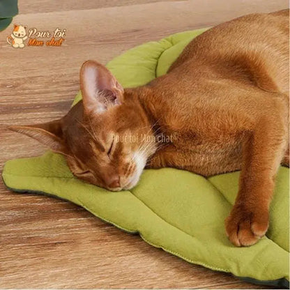 TAPIS, LIT, COUSSIN DOUX EN FORME DE FEUILLE POUR CHAT – FEUILL’À’CHAT™