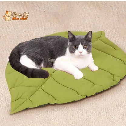 TAPIS, LIT, COUSSIN DOUX EN FORME DE FEUILLE POUR CHAT – FEUILL’À’CHAT™