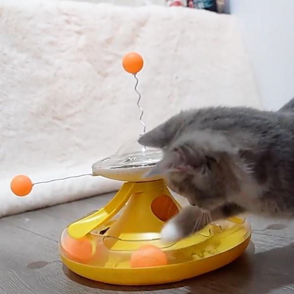 Jouet pour Chat Distributeur de Croquettes - Tournichat™