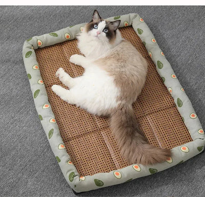 Tapis Rafraichissant Chat En Rotin Respirant