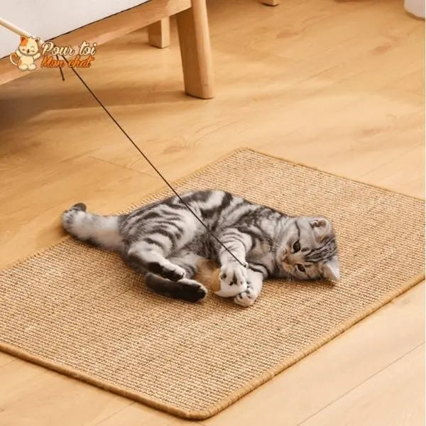 Tapis grattoir pour chats couvre meubles