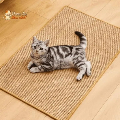 Tapis grattoir pour chats couvre meubles