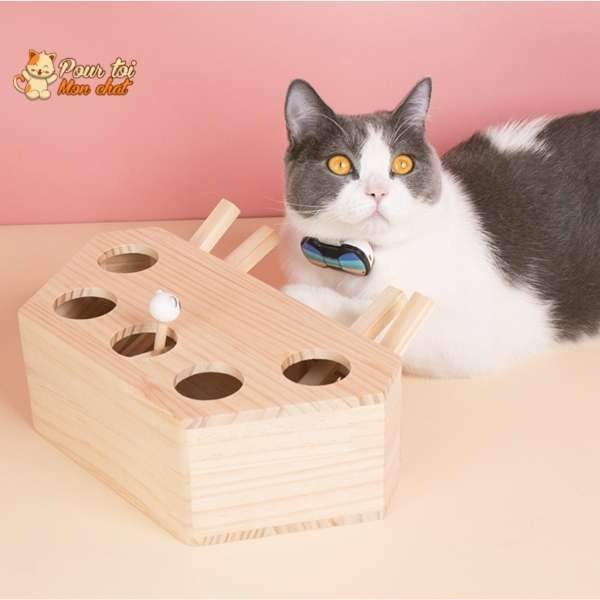 Jeu éducatif en bois - AttrapCat'™