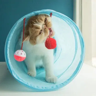 Tube de jeu pliable à deux trous pour chaton