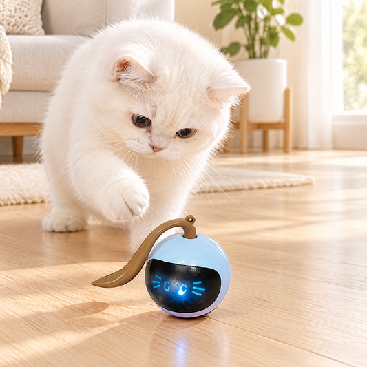 Balle interactive rotative et intelligente à LED pour chaton dans un salon lumineux