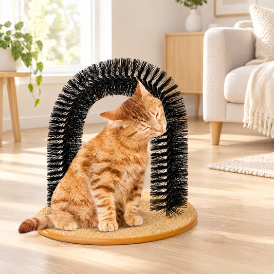 Jouet à gratter en arc pour chat dans un salon lumineux