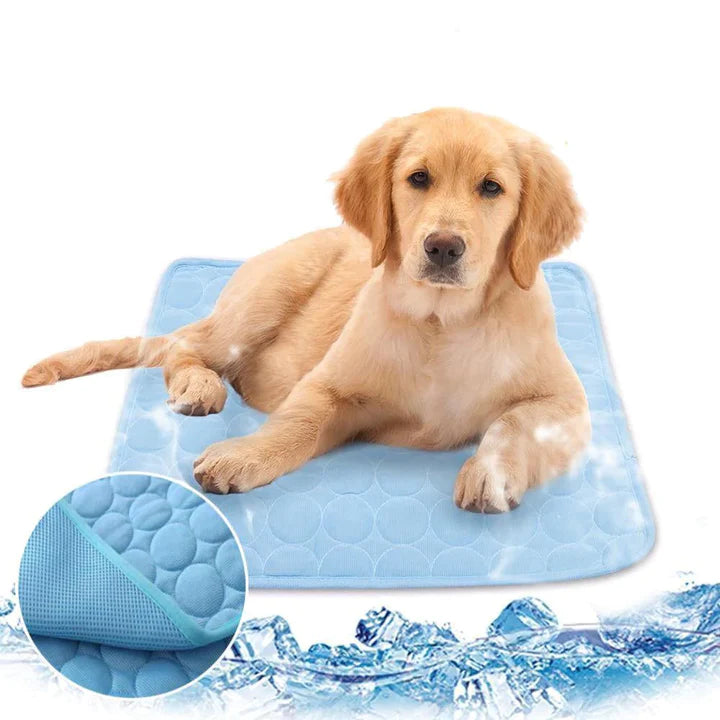 AnimalFreeze | Tapis rafraîchissant pour chien et chat – En promo ! 🔥