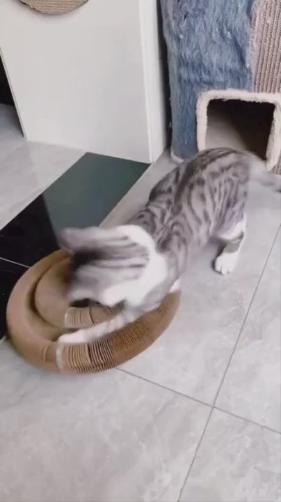 Le Griffoir Magique Kitty Kurlz