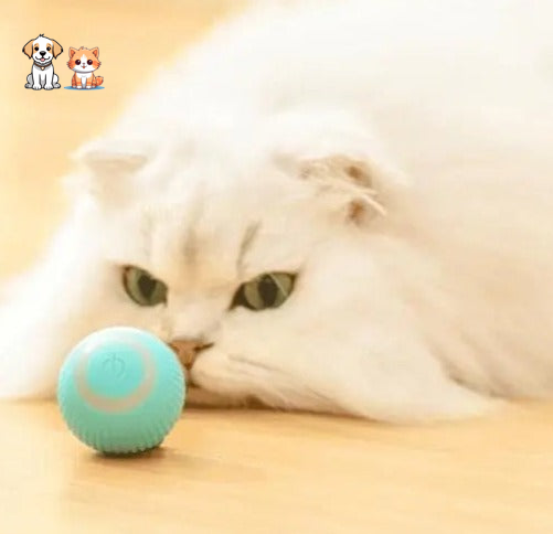 BALLE ROULANTE INTELLIGENTE POUR CHAT – Vite’Balle’Chat™