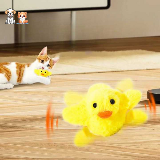 Jouet canard en peluche électrique pour chats