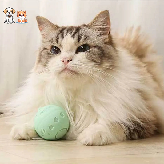 Balle sautante interactive verte rechargeable pour chat