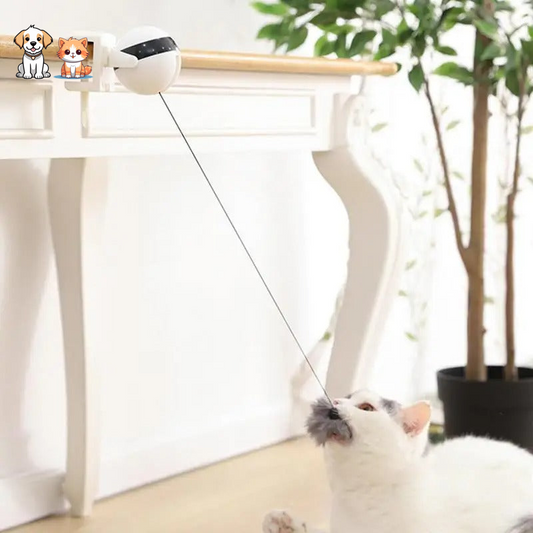 Jouet Interactif pour chat - Tendrefripouille