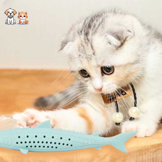 Jouet brosse à dents en forme de poisson en silicone et herbe à chat