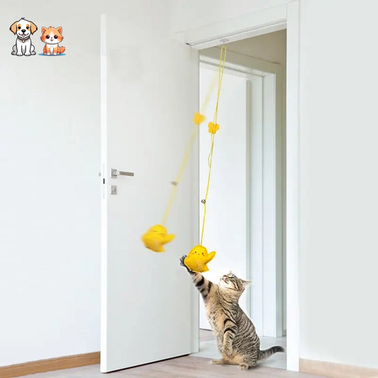 Jouet interactif suspendu pour chats