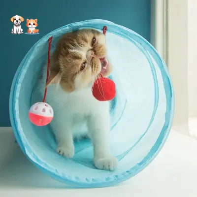 Tube de jeu pliable à deux trous pour chaton