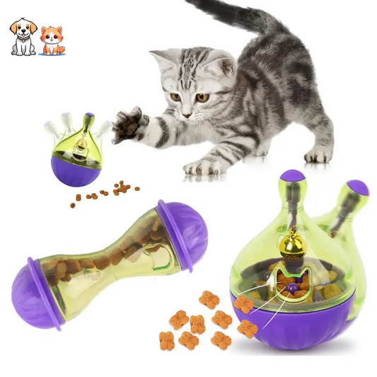 Bol interactif amusant pour chaton