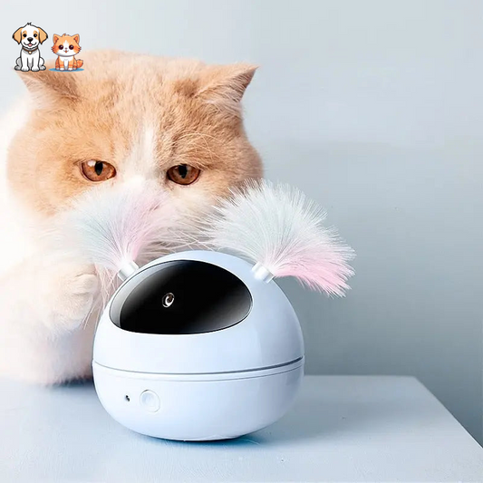 Jouet rotatif électrique lumineux à laser avec plumes pour chat
