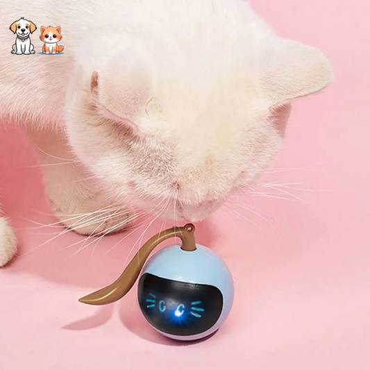 Balle interactive rotative et intelligente à LED pour chaton