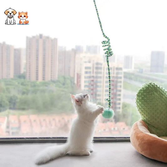 Jouet interactif à suspendre pour chaton