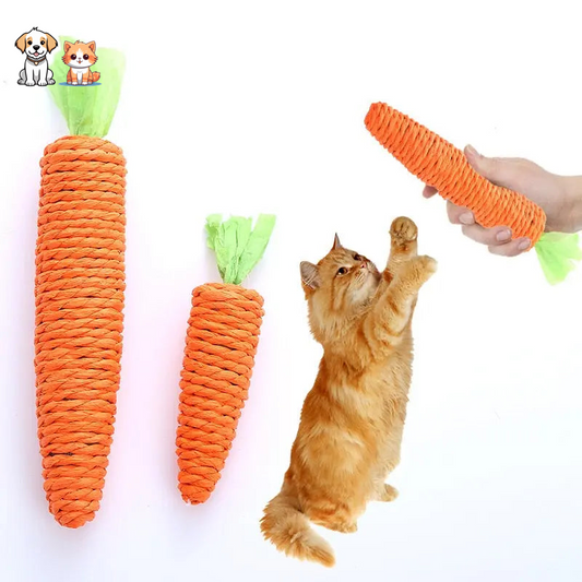 Jouet carotte à mâcher pour chats