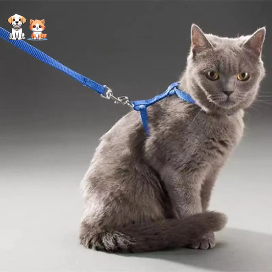 Adjustable nylon cat collar