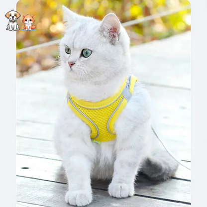 Lightweight and Comfortable Harness Style Kitten Leash