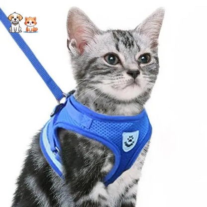 Correa para gatitos estilo chaleco transpirable y reflectante