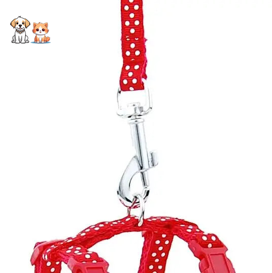 Adjustable Kitten Leash with Nylon Point
