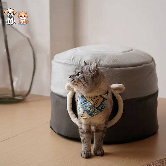 Comfortable winter cat bed
