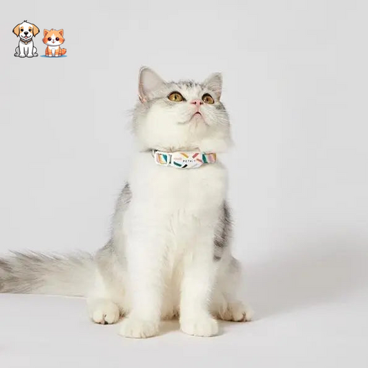 Collar GPS Bluetooth para Gatos y Nylon Ajustable