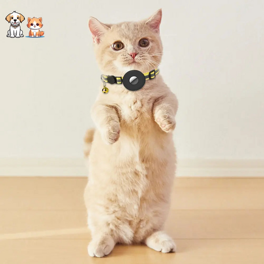 Collar de soporte de rastreo GPS para gatos
