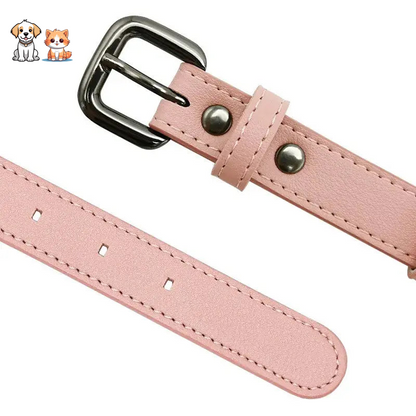 Anti-Strangulation Cat Collar with Airtag Slot in Silicone and Faux Leather