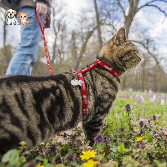 Anti-Escape Cat Harness with a Fish-Shaped Plate