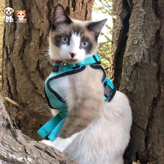 Reflective Anti-Escape Cat Harness with Adjustable Leash