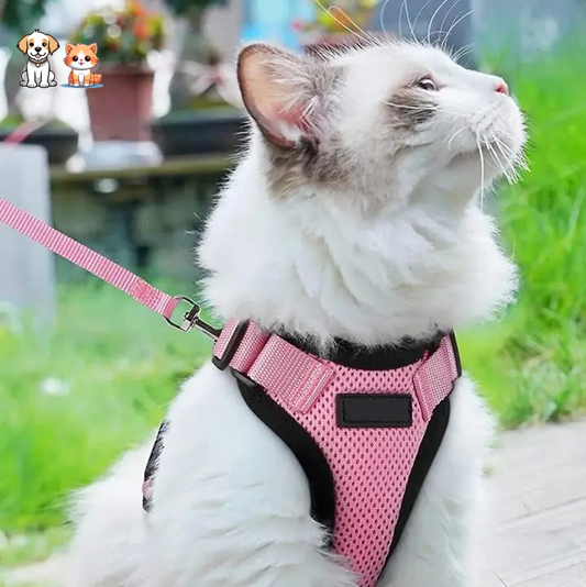 Soft and Reflective Kitten Harness with Walking Leash
