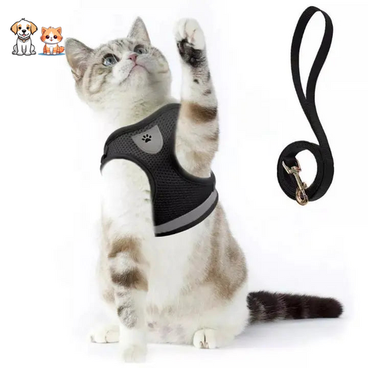 Breathable and Reflective Kitten Harness with Nylon Leash