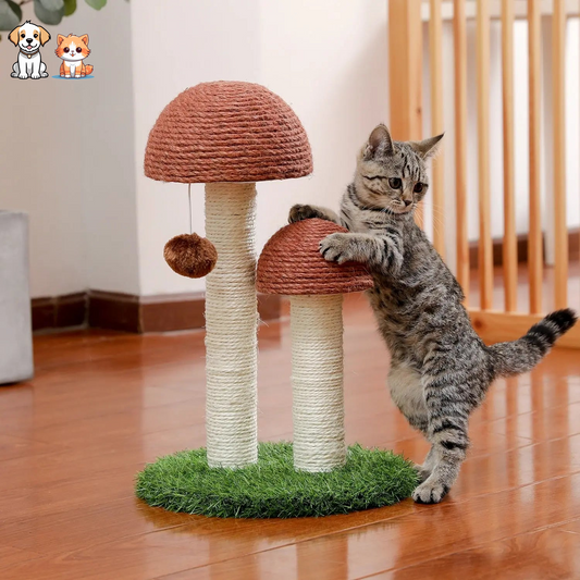 Small mushroom-shaped cat tree