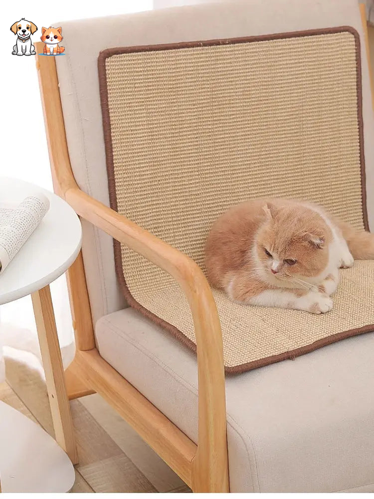 Rascador para gatos y alfombrilla protectora para sofá.