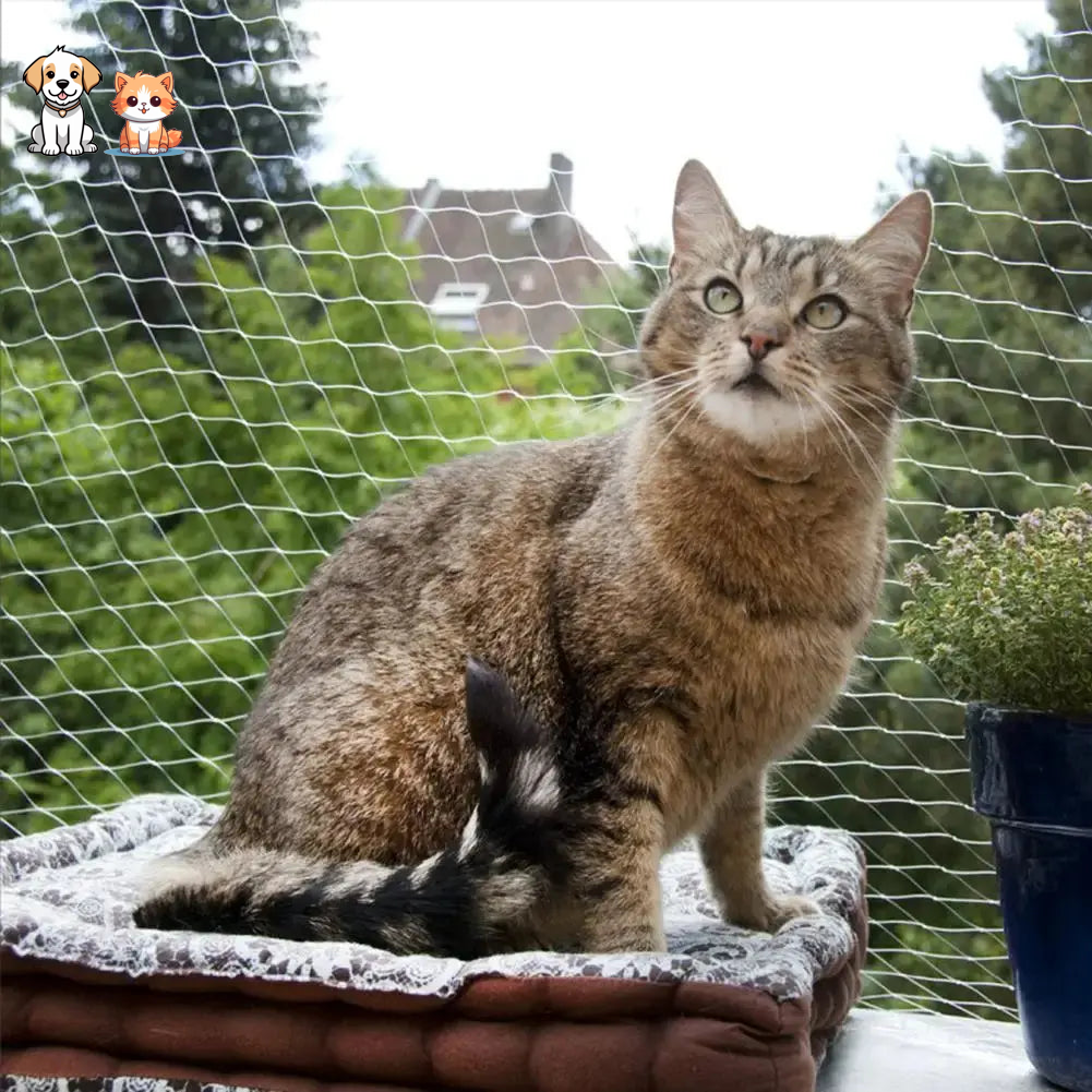 Filet de Protection Chat avec Accessoires de Montage