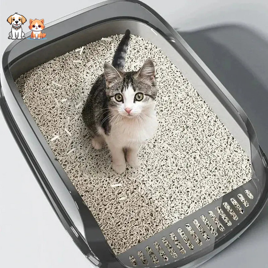 Kitten Litter Box with Anti-Splash Plastic Rims