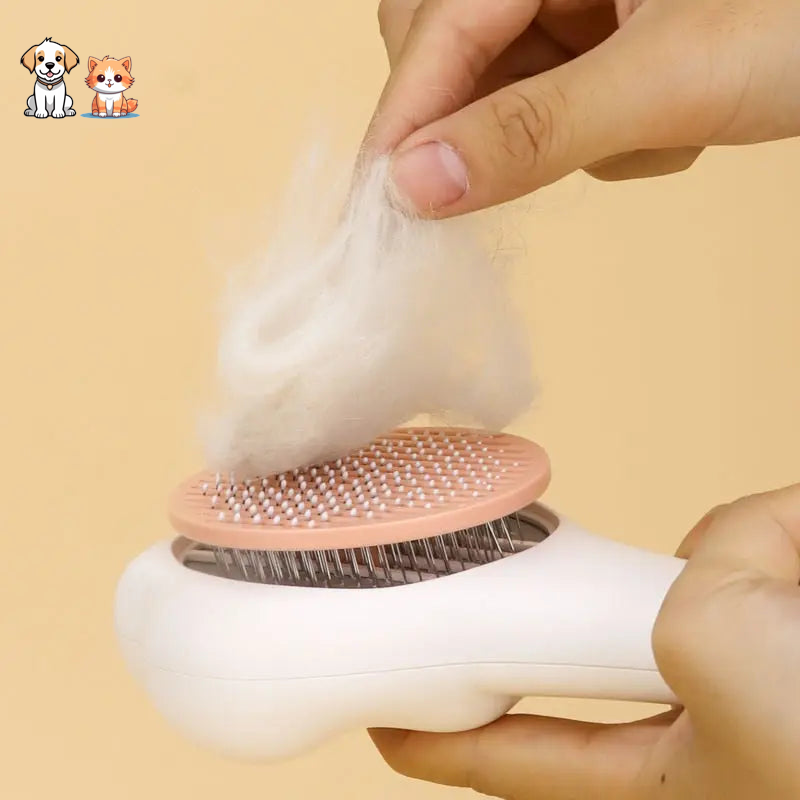 Cat Paw Shape Grooming Brush for Cat