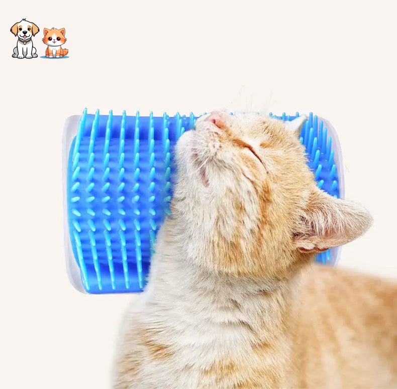 Brosse de massage d'angle pour chaton