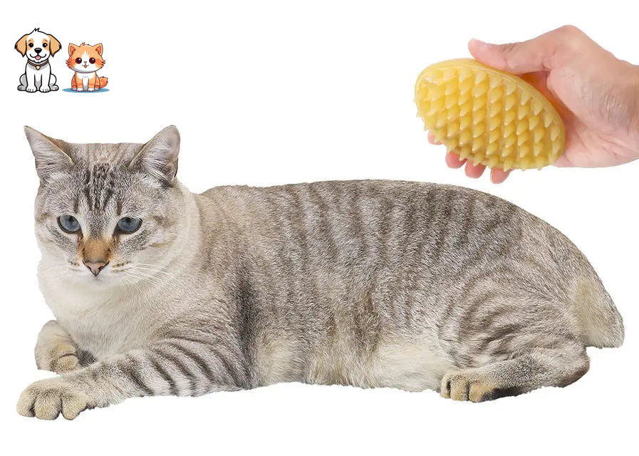 Soft silicone bristle massage brush for cats